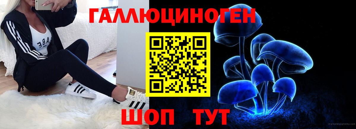 Канаш  Галлюциногенные грибы Cubensis  Вход с VPN  Псилоцибиновые грибы ЛСД 